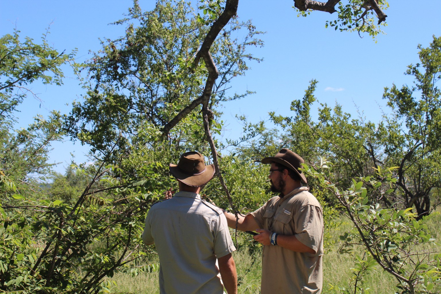 Chris Banotai working in the field