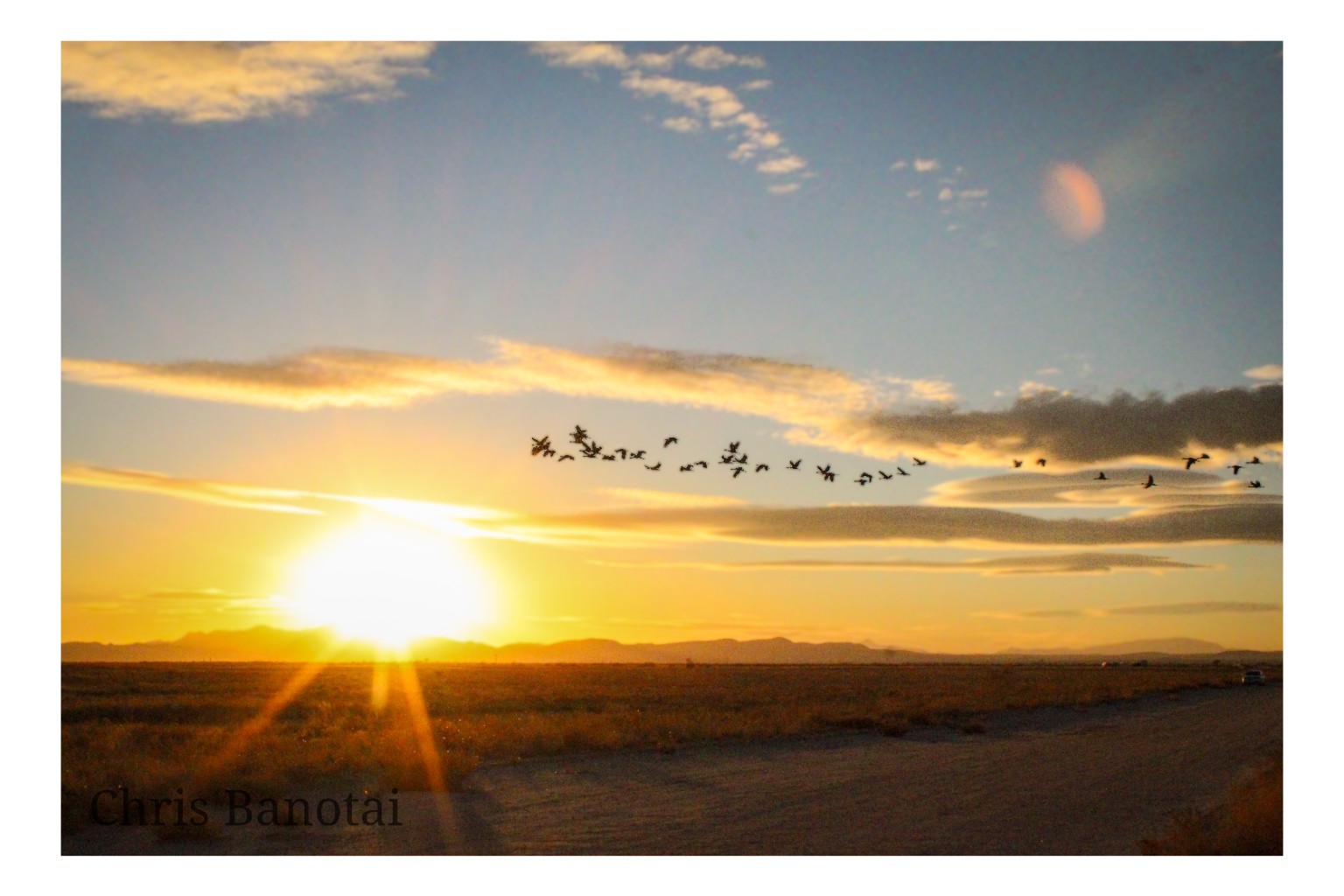 A long line of sandhill cranes flying across a brilliant sunset above the open Arizona landscape.