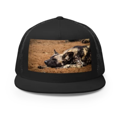 Thinking (Wild) Cap: African Painted Dog preview