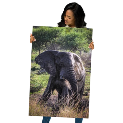 Doing Elephant Things product preview