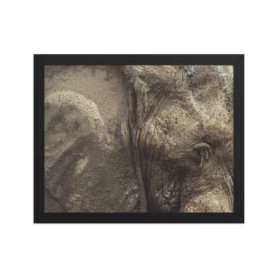 Elephant Topography product preview