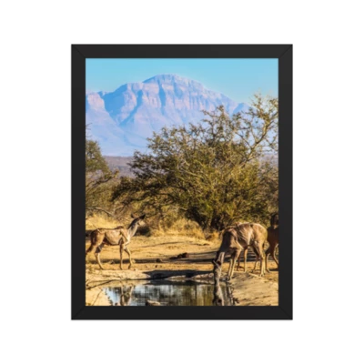 Kudu Country product preview