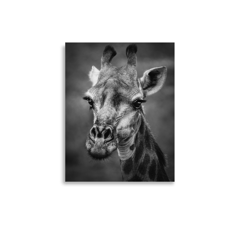 Lashes enhanced matte mini print preview