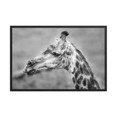 Long Face product preview