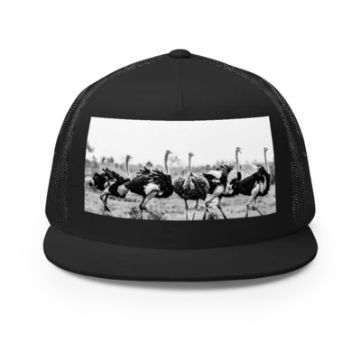 Thinking (Wild) Cap: My Kind of Birding preview