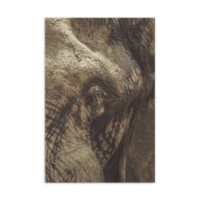 Textures Galore postcard preview