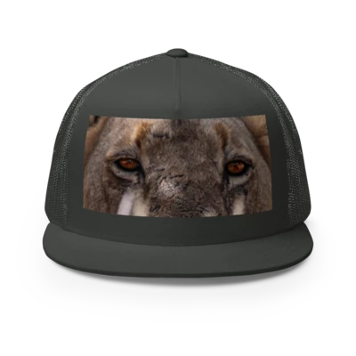 Thinking (Wild) Cap: Through Vincent’s Eyes preview