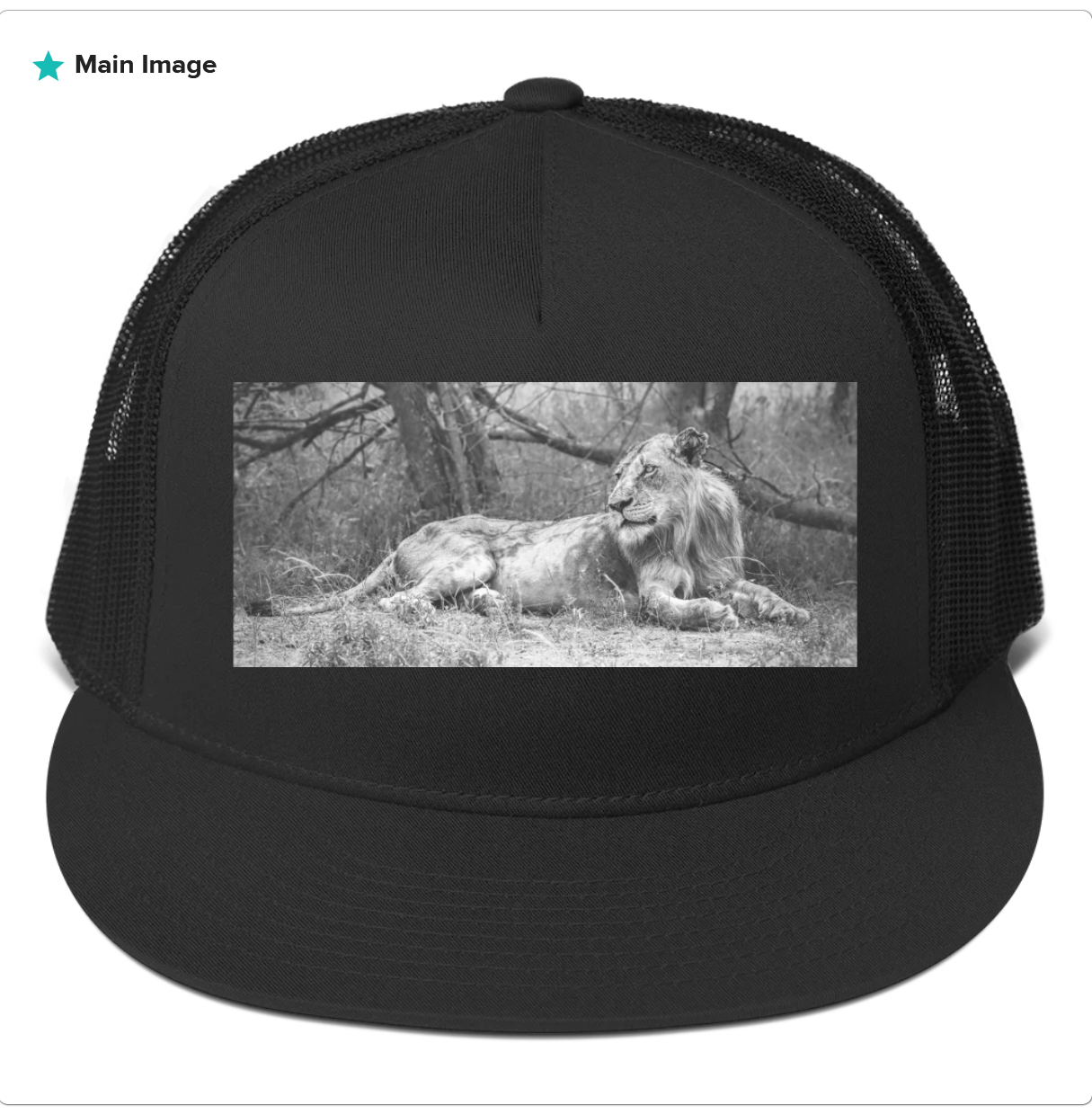 Thinking (Wild) Cap: Vincent Tribute preview