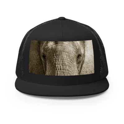 Mockup of a black Thinking (Wild) Cap featuring an elephant close-up photograph.